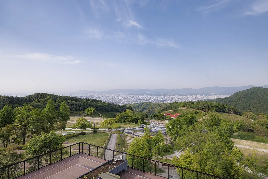 福岡の魅力再発見　7つ行政区の楽しみ方を紹介17 南区 ABURAYAMA