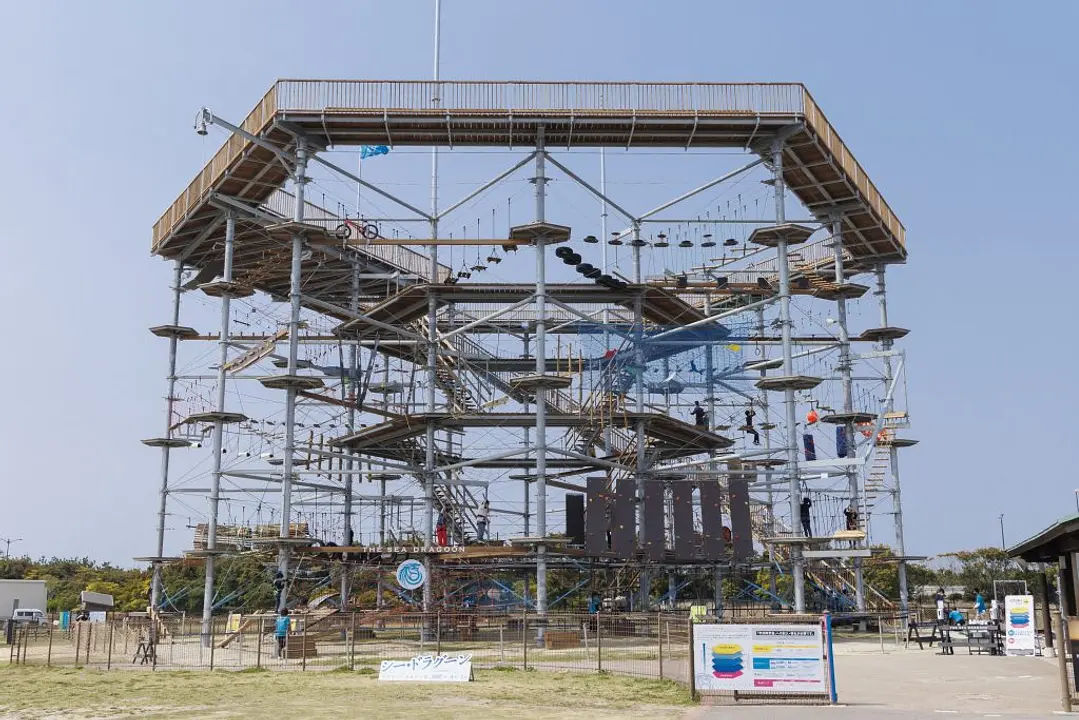 何度でも行きたい！五感で楽しむ福岡体験ガイド　シー・ドラグーン