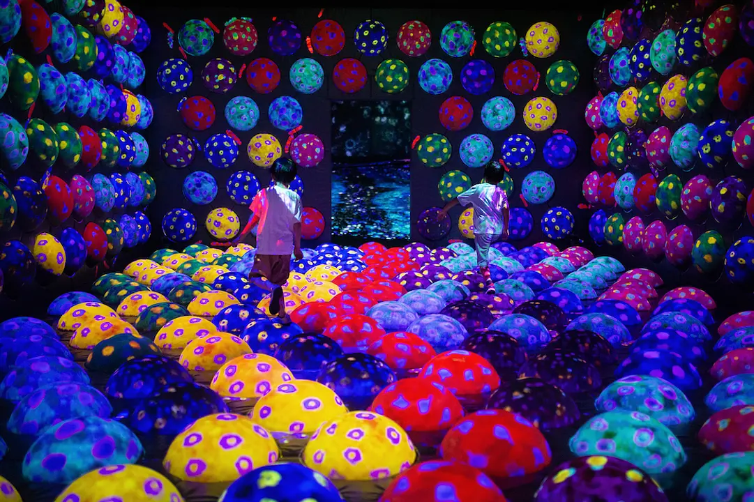  何度でも行きたい！五感で楽しむ福岡体験ガイド チームラボ