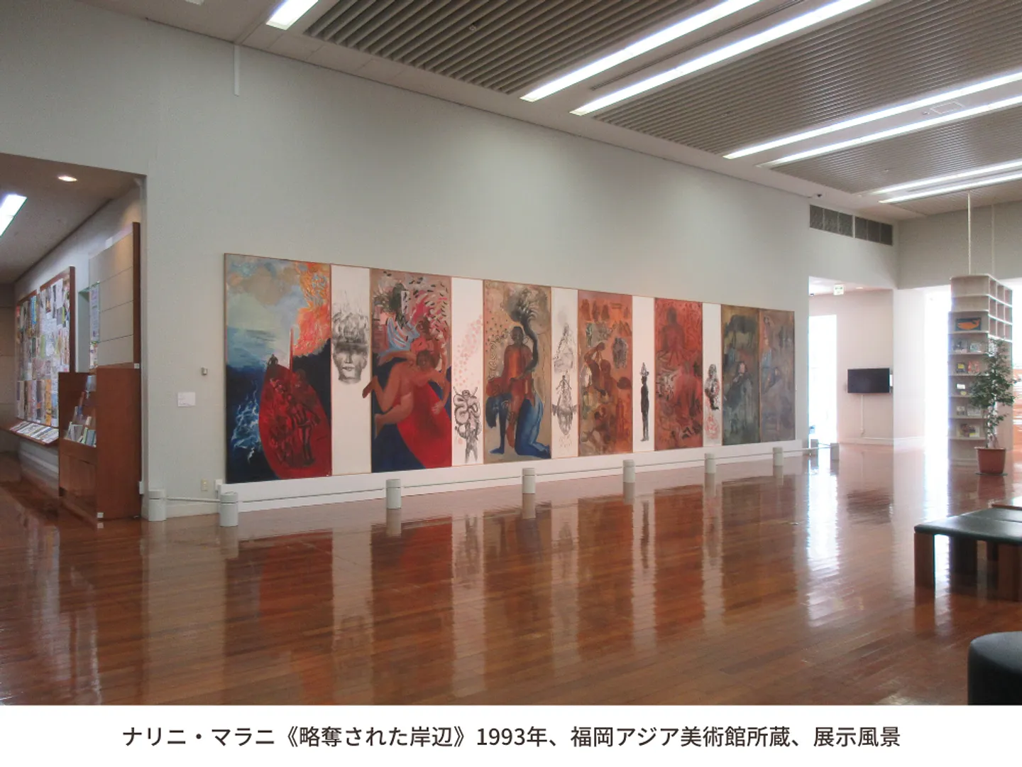 ナリニ・マラニ作《略奪された岸辺》