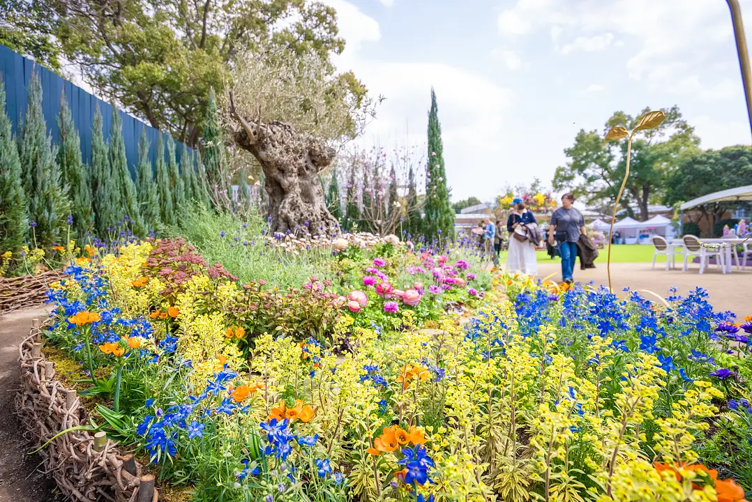 【福岡市】花に囲まれた特別な体験！Fukuoka Flower Show2026限定モデルコース1