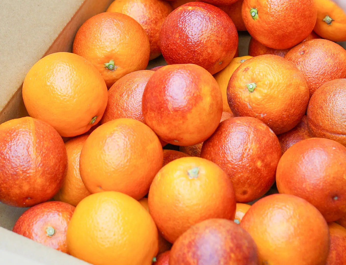 能古島産・切るたびに香り広がるブラッドオレンジ＆マーコット by 久保田農園　※画像はイメージです。