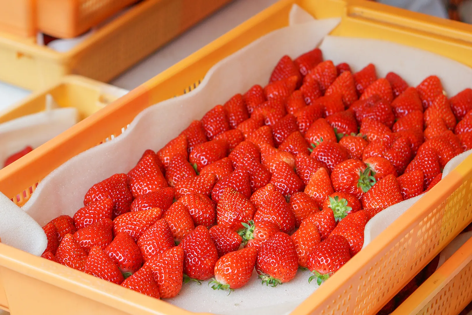 今季ラストの大人気いちごの量り売りもお楽しみに！