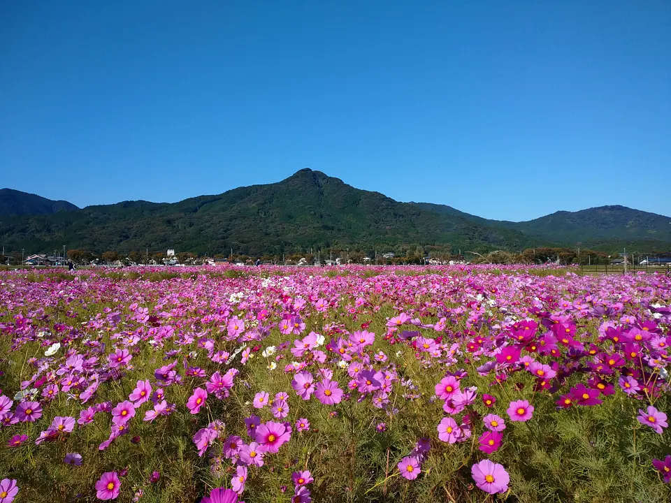 福岡弥生4大遺跡を巡る旅17