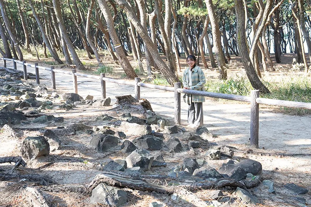 元寇防塁と古墳を巡る4