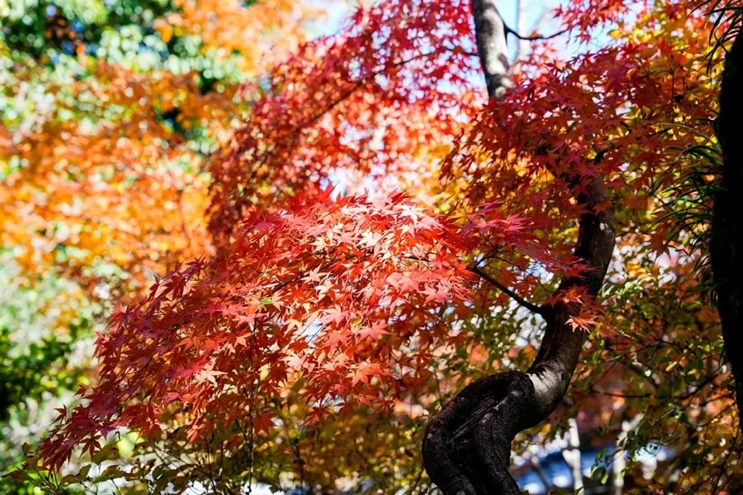 時をめぐる静寂の旅7