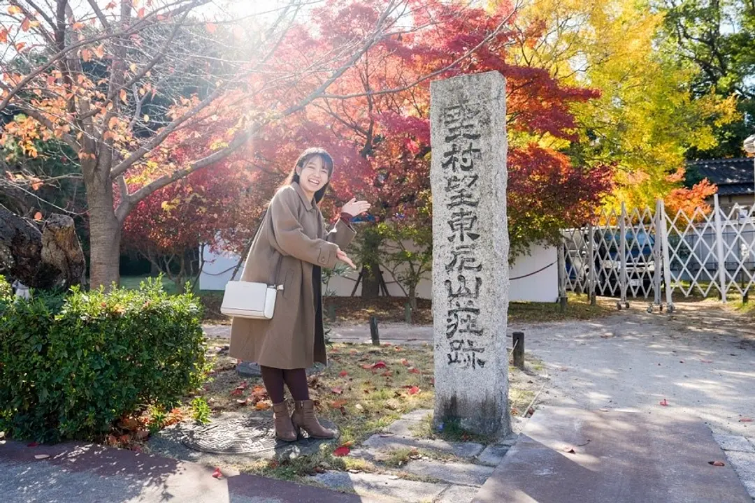 時をめぐる静寂の旅11