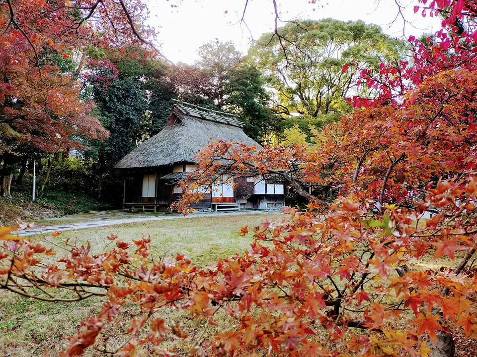 時をめぐる静寂の旅14