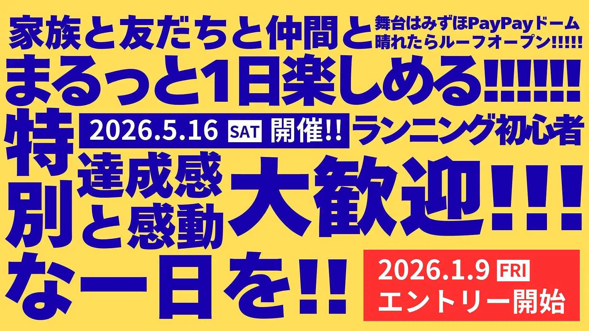 2026年5月30日土曜日みずほPayPayドーム駐車券※追加料金なしで駐車でき