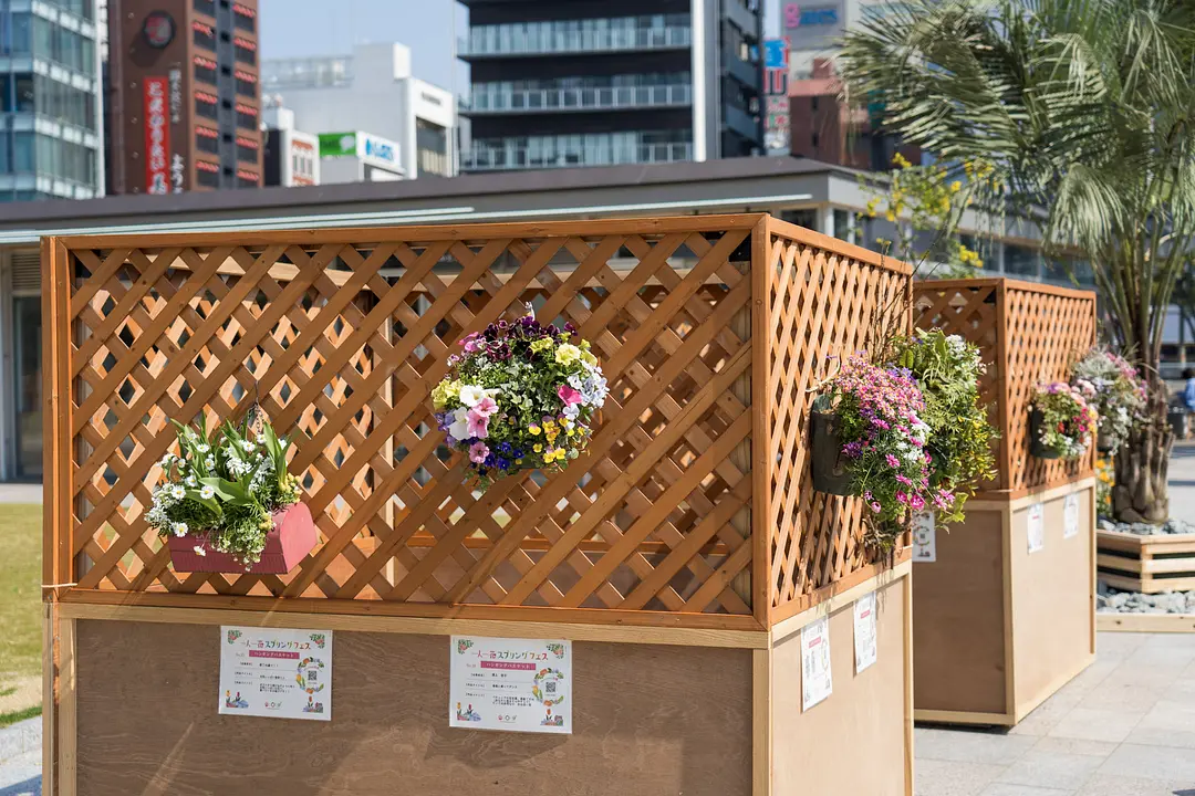 2026 春の花で彩られた街を歩いて楽しもう！8