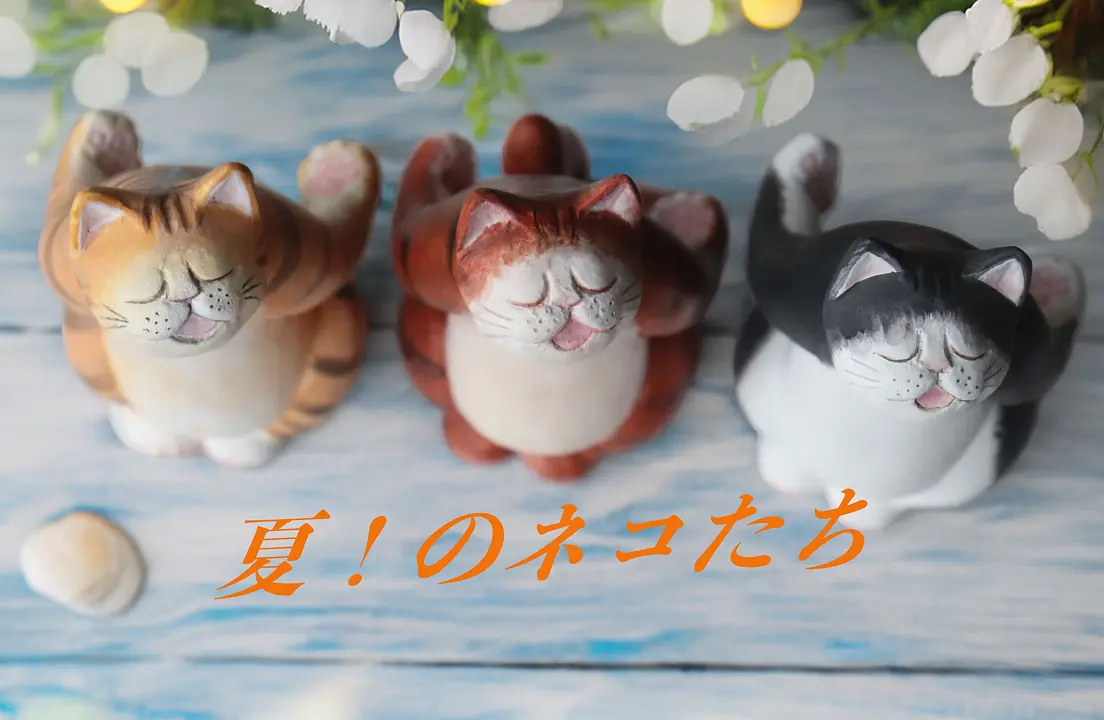 夏のネコたち