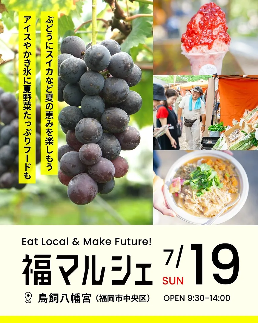 1_260719_feed.jpg