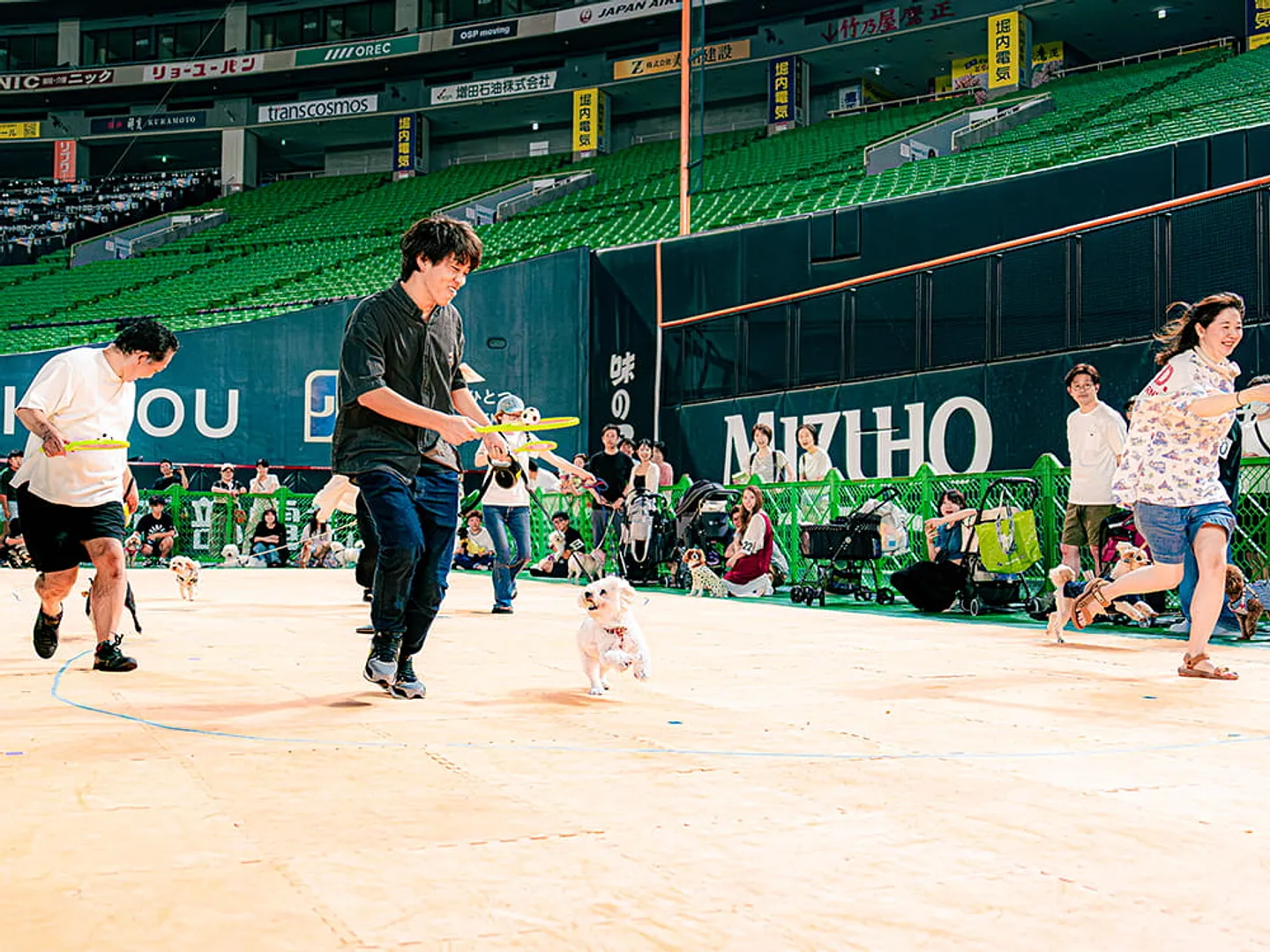 ワンちゃん大運動会.jpg