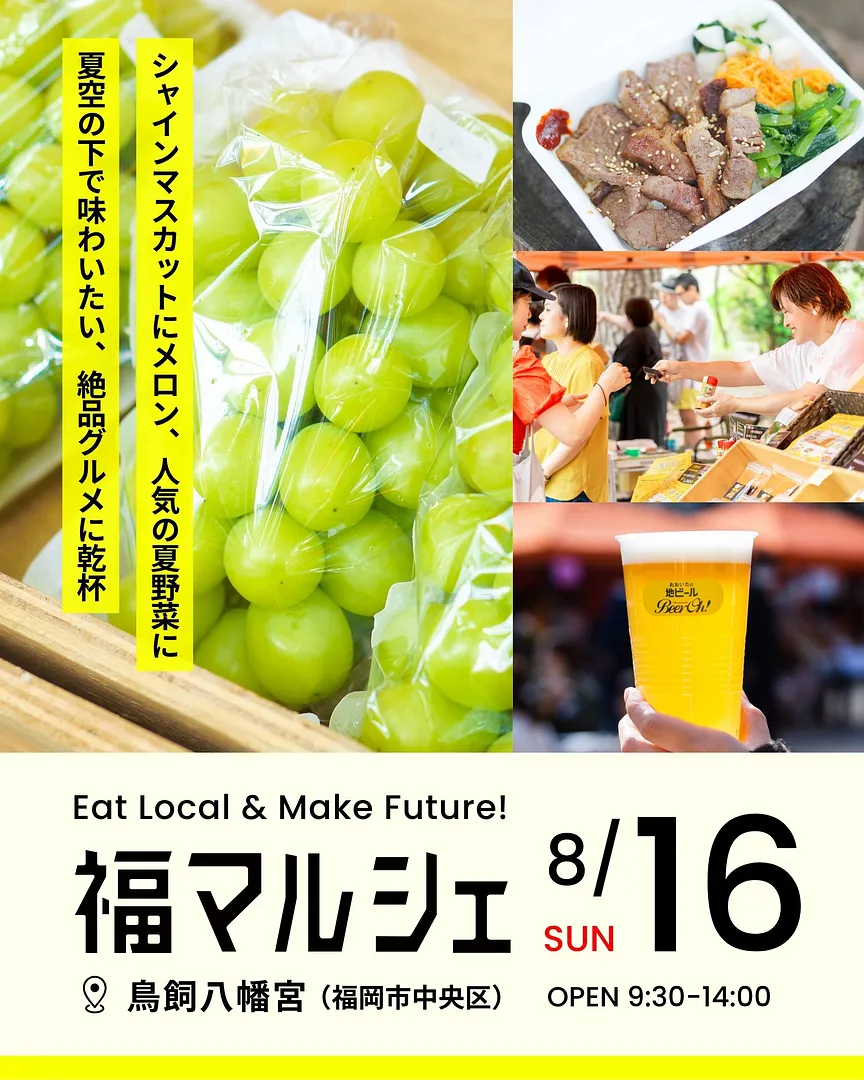 1_260816_feed.jpg