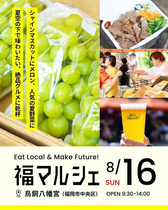 1_260816_feed.jpg