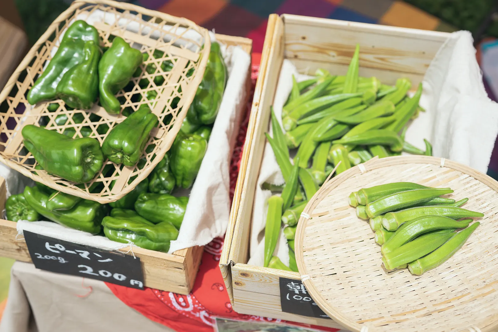 夏本番！色鮮やかな夏野菜たちが登場！