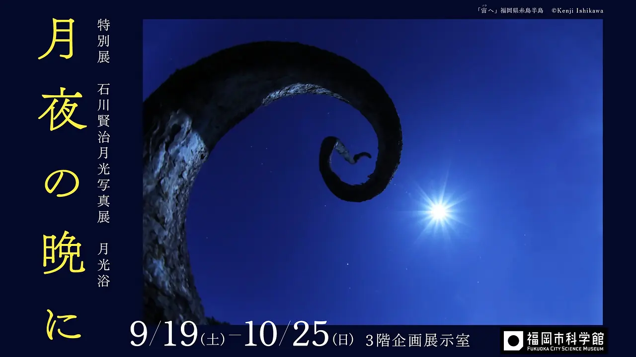 石川賢治展HPバナー.jpg