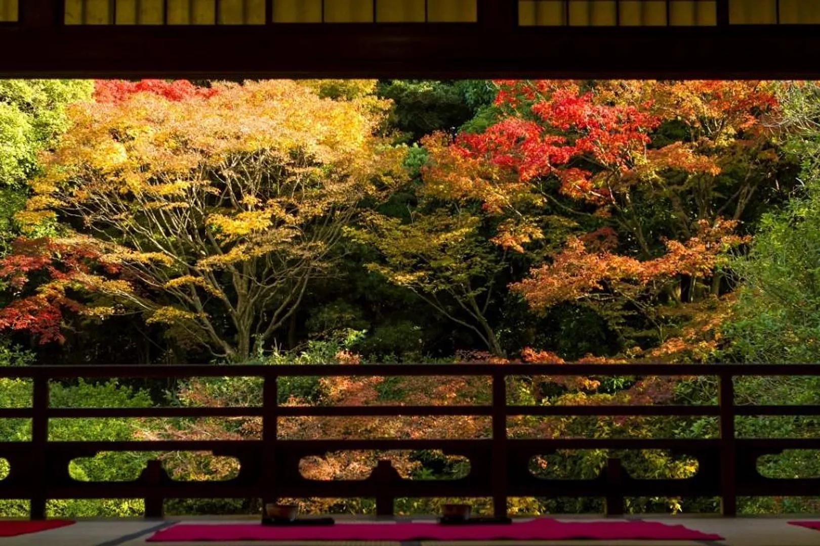 友泉亭公園.jpg