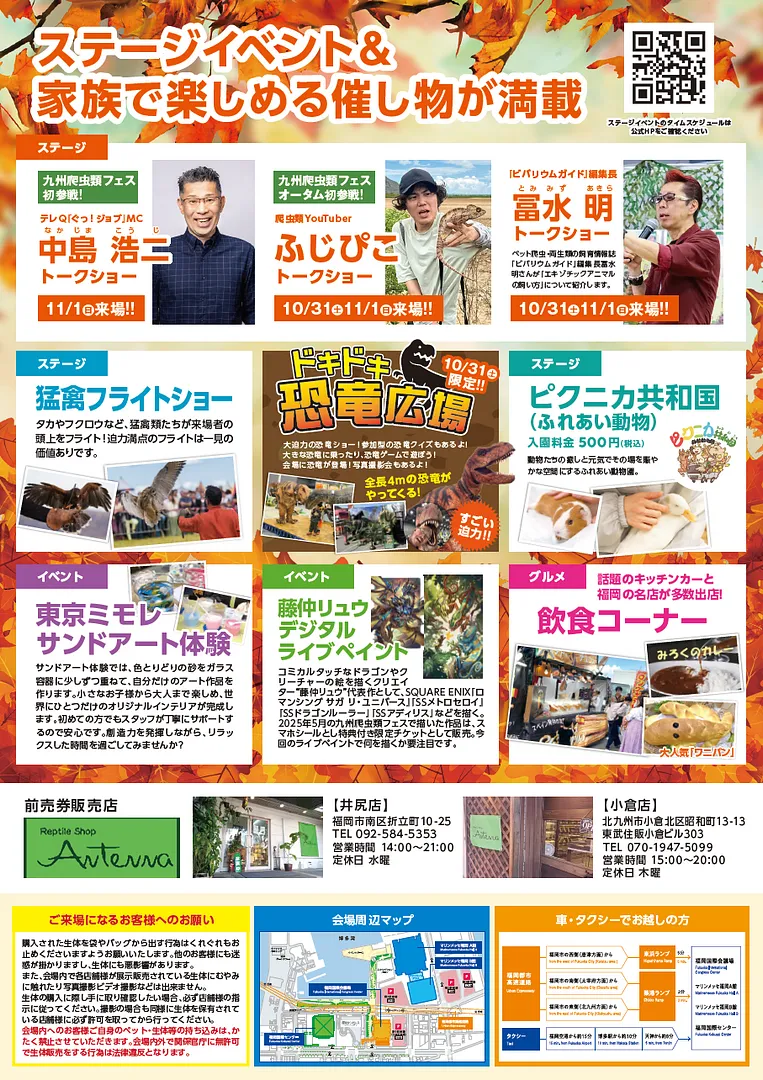 チラシ裏_スクリーンショット 2026-09-08 092055.png