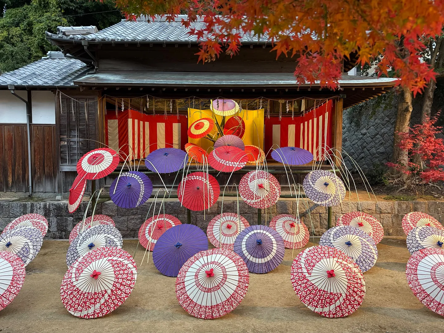 もみじ祭写真②.jpeg