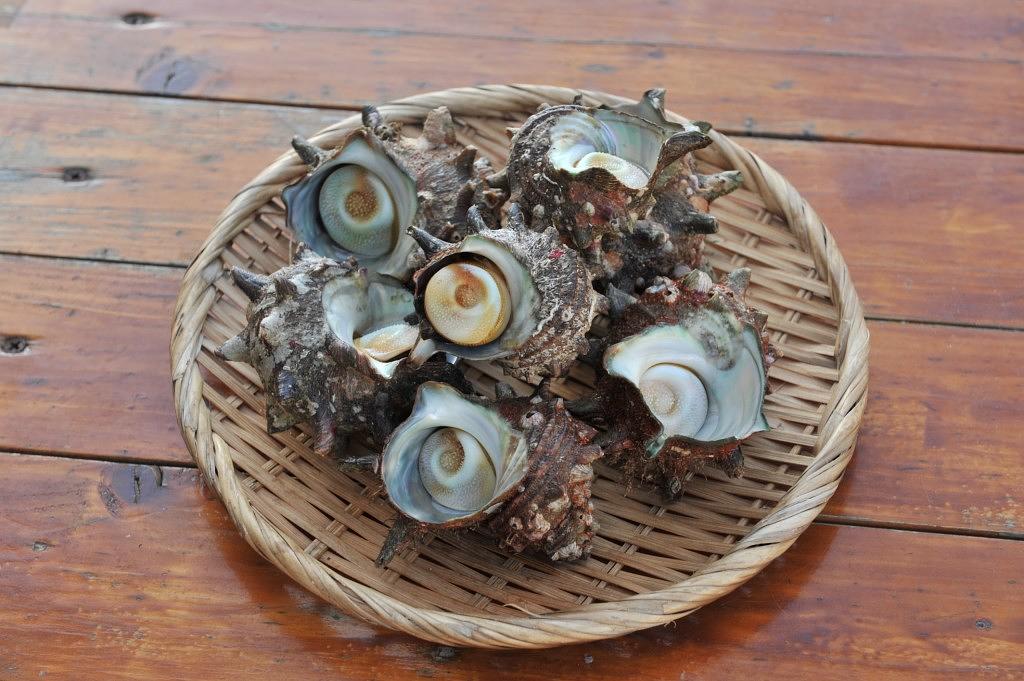 SHOPヒロサザエの壺焼き