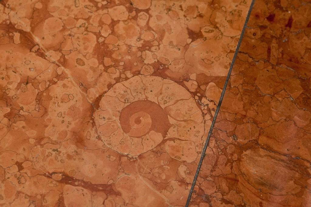 ｱﾝﾓﾅｲﾄ＿提供