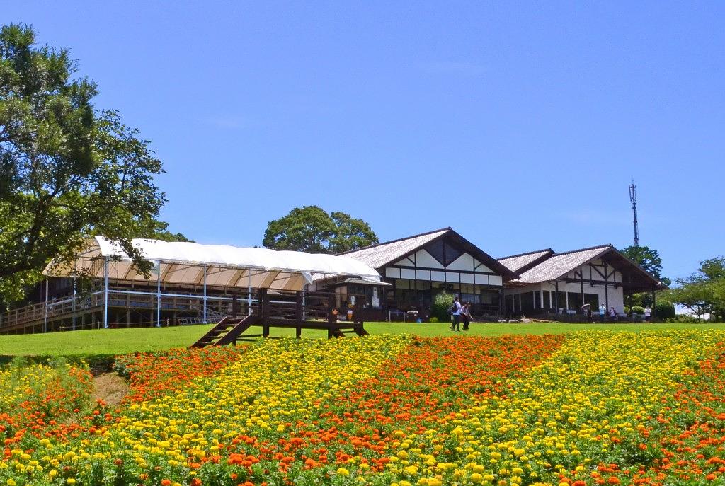 のこのしまアイランドパーク