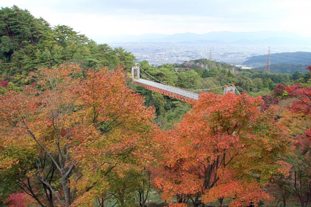 油山市民の森