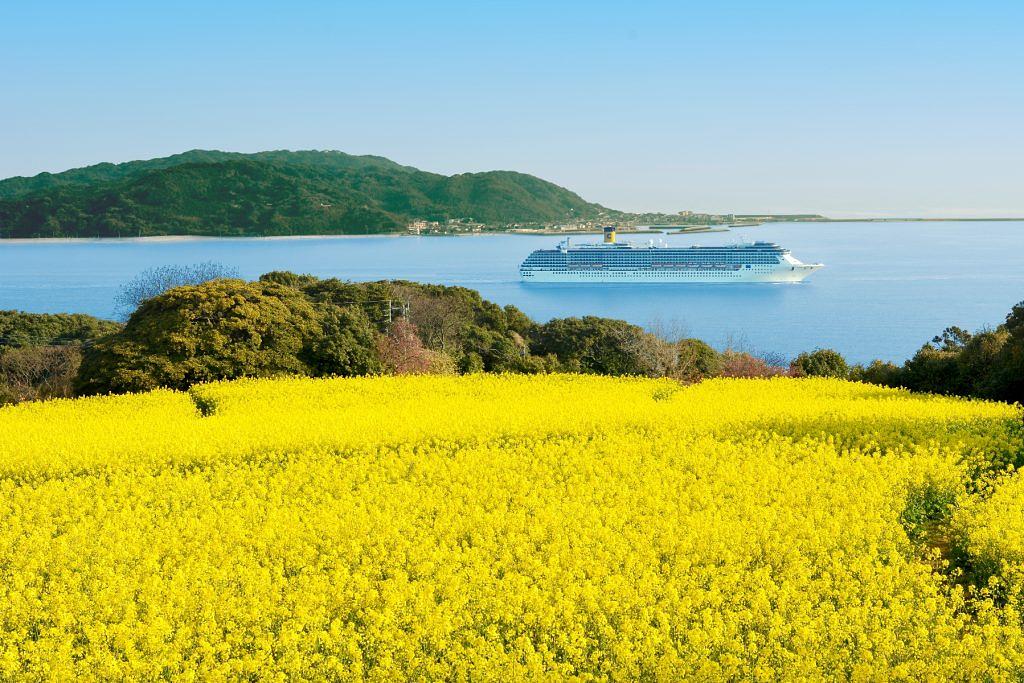 のこのしまアイランドパークの菜の花