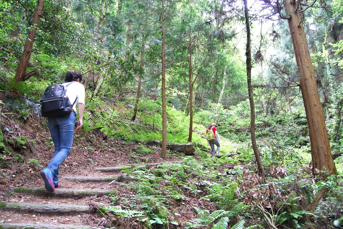油山市民の森_歩道