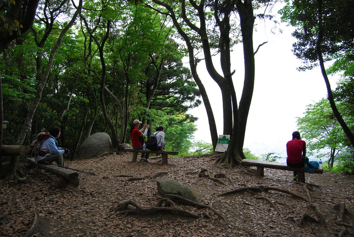 油山市民の森_山頂