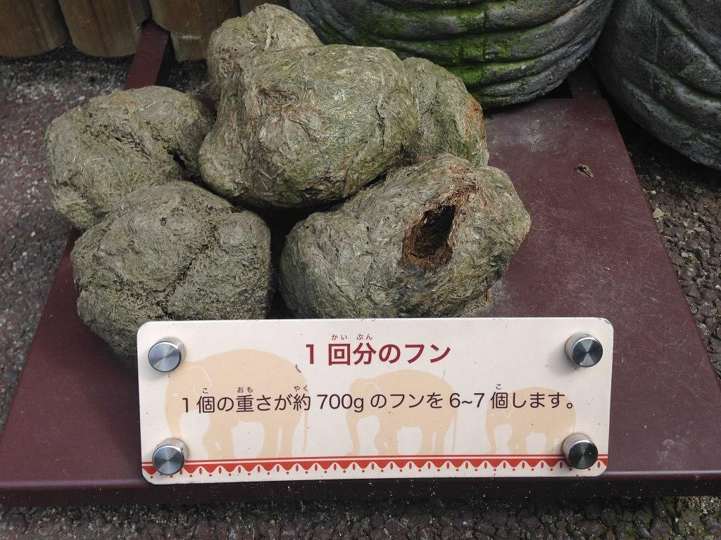 ゾウの1回分のフン