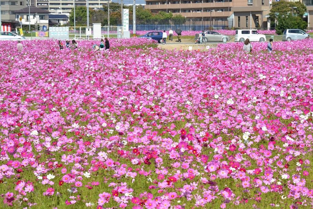 周船寺市民ふれあい広場