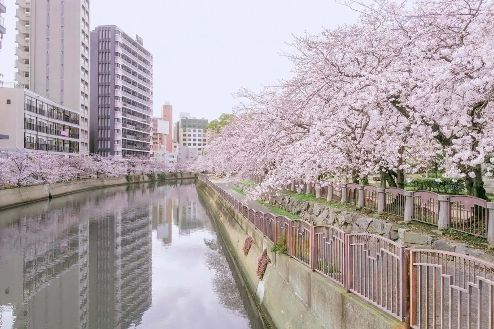 天神 中央 公園
