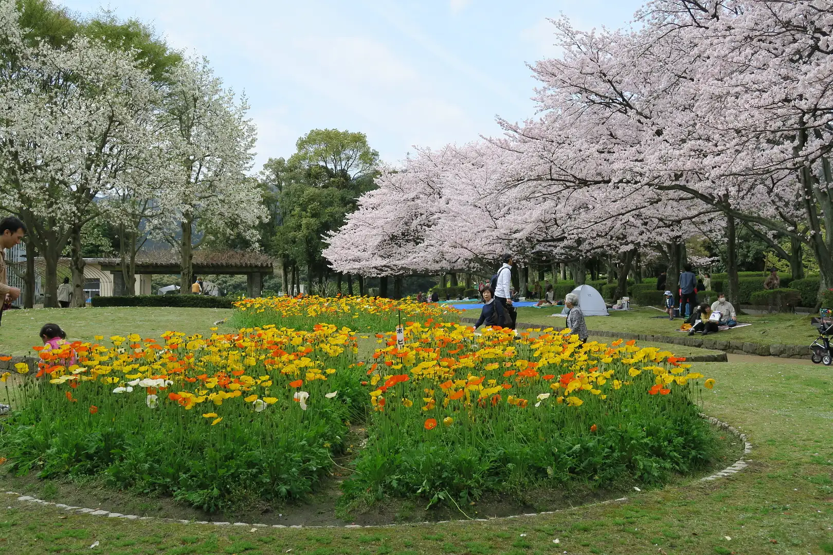 花畑 園芸 公園