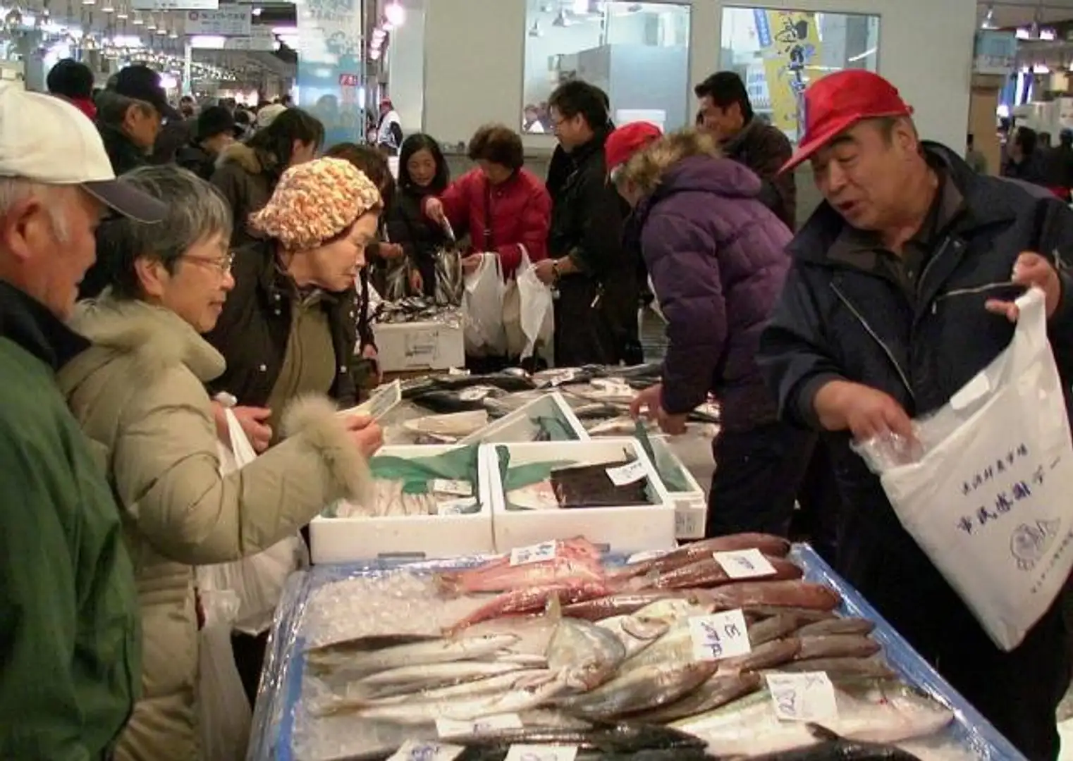 福岡 魚 市場