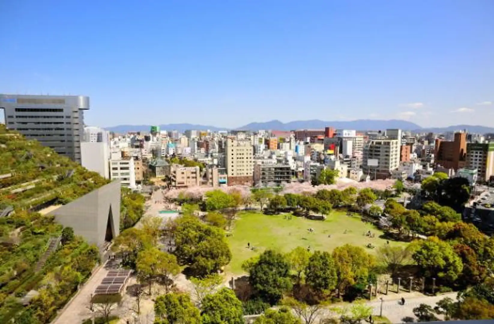 天神 中央 公園