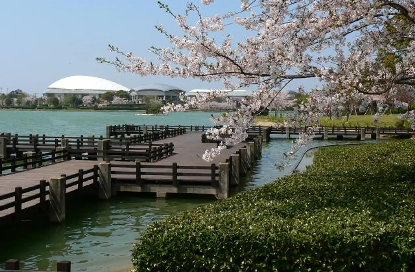 駕 与 丁 公園