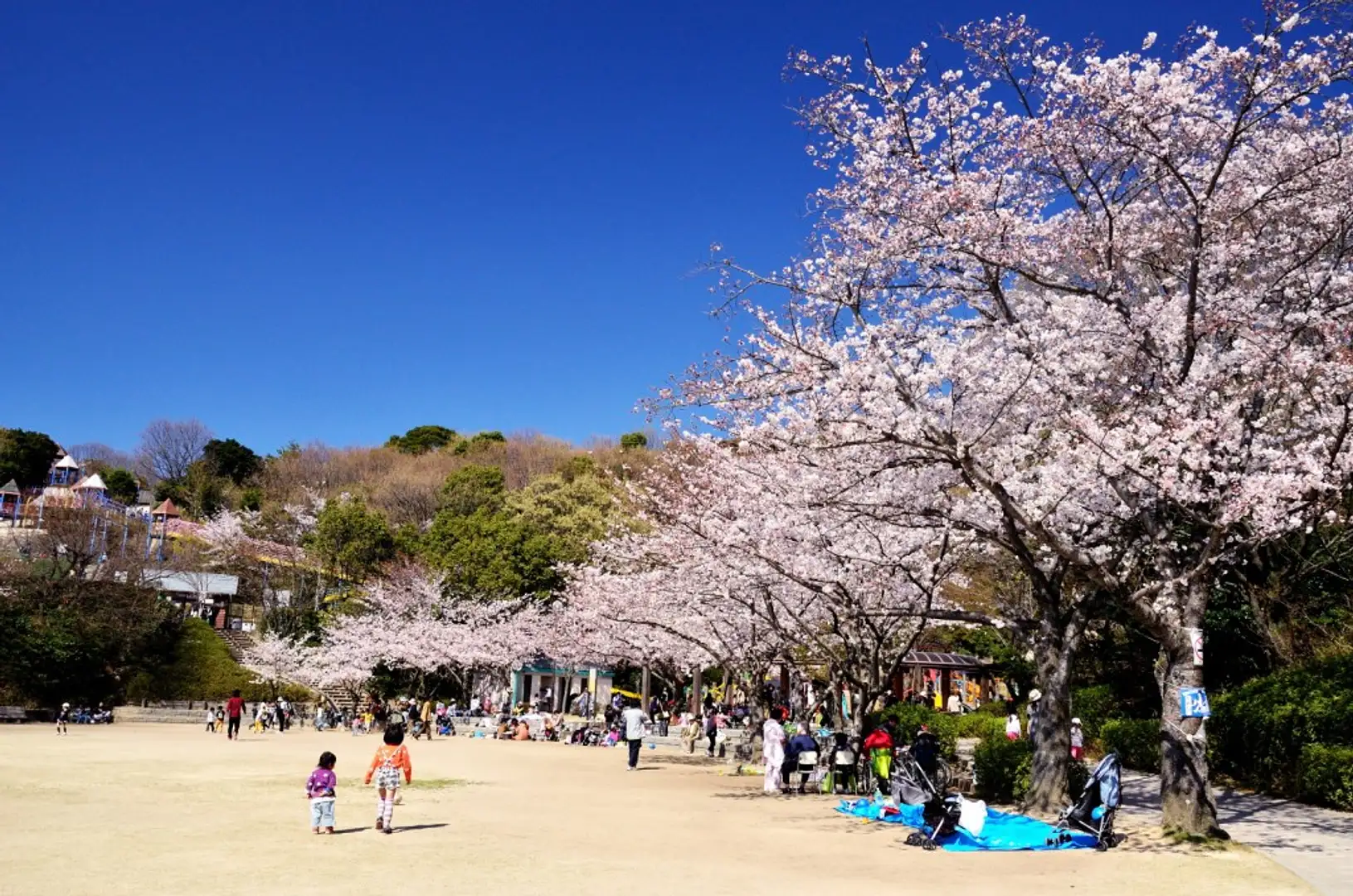 福岡 県 福岡 市 博多 区 東 平尾 公園
