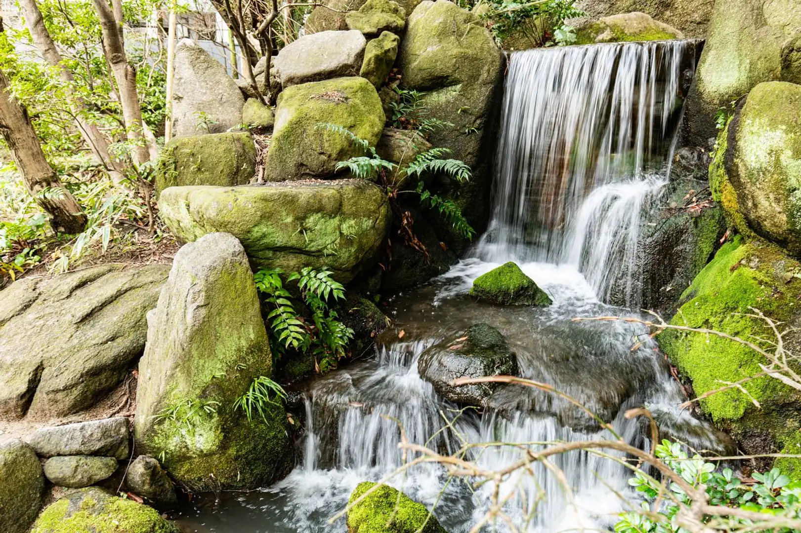 楽 水 園