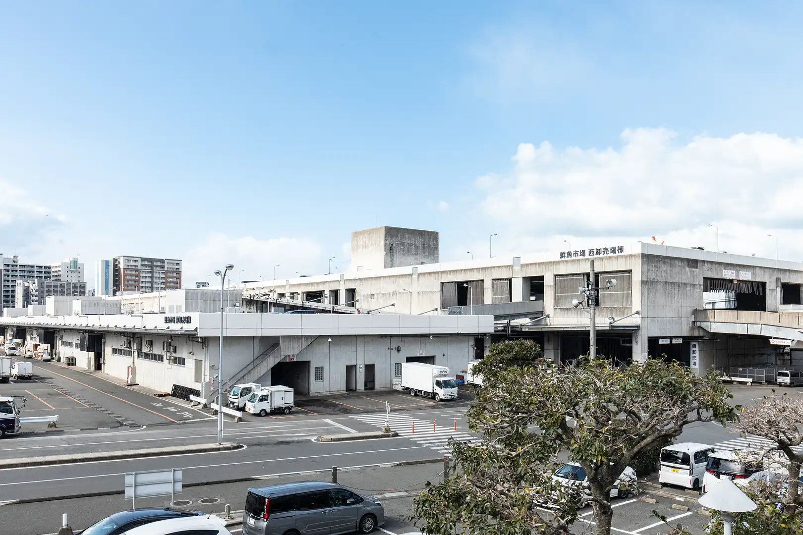 福岡 魚 市場