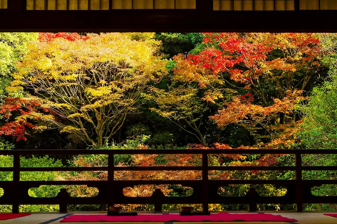 これぞ日本の秋風景。美しく色づく福岡の「紅葉スポット」