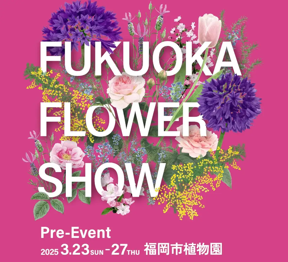 福岡 3 月 イベント
